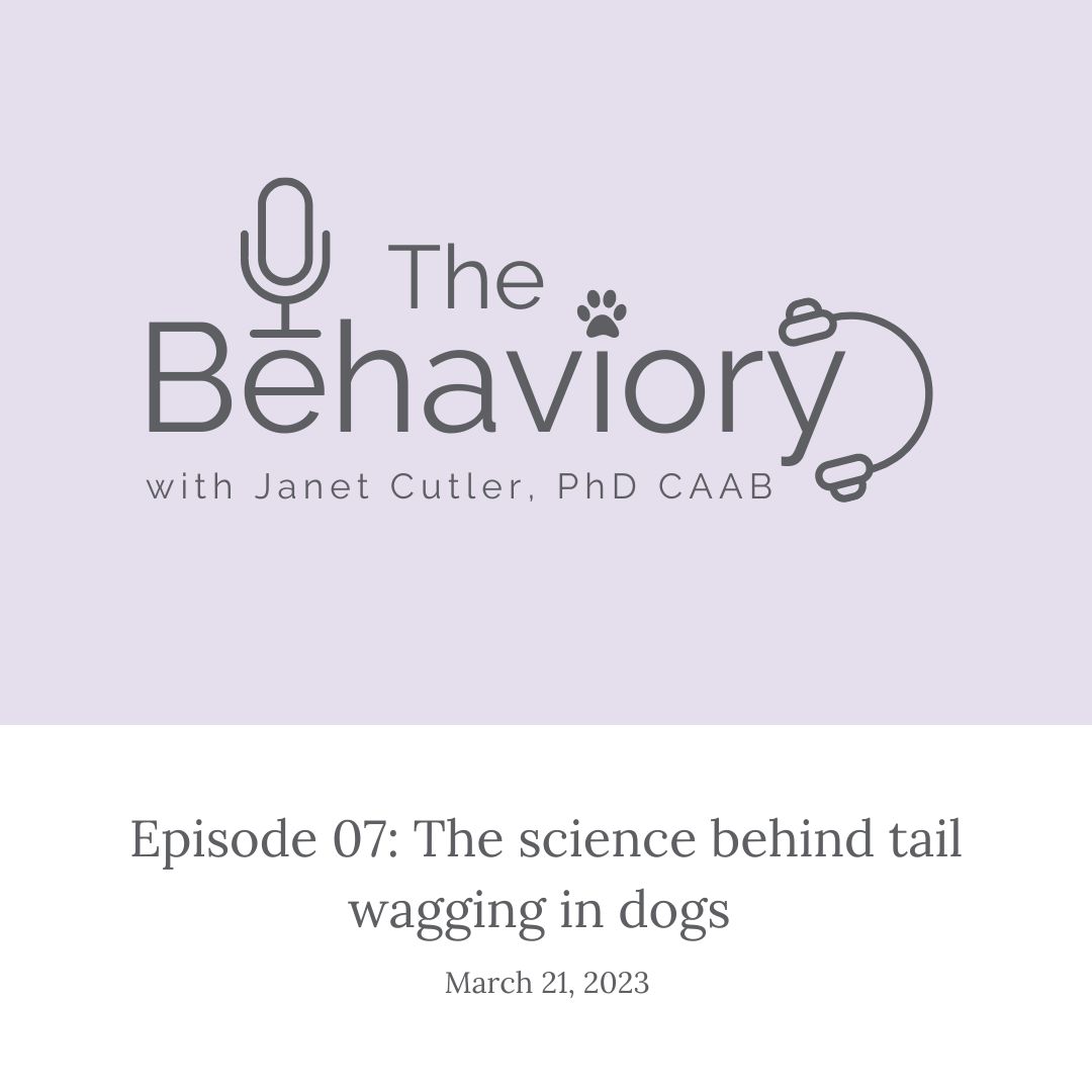 7. The science behind tail wagging in dogs