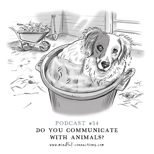 Let\'s Have A Chat!