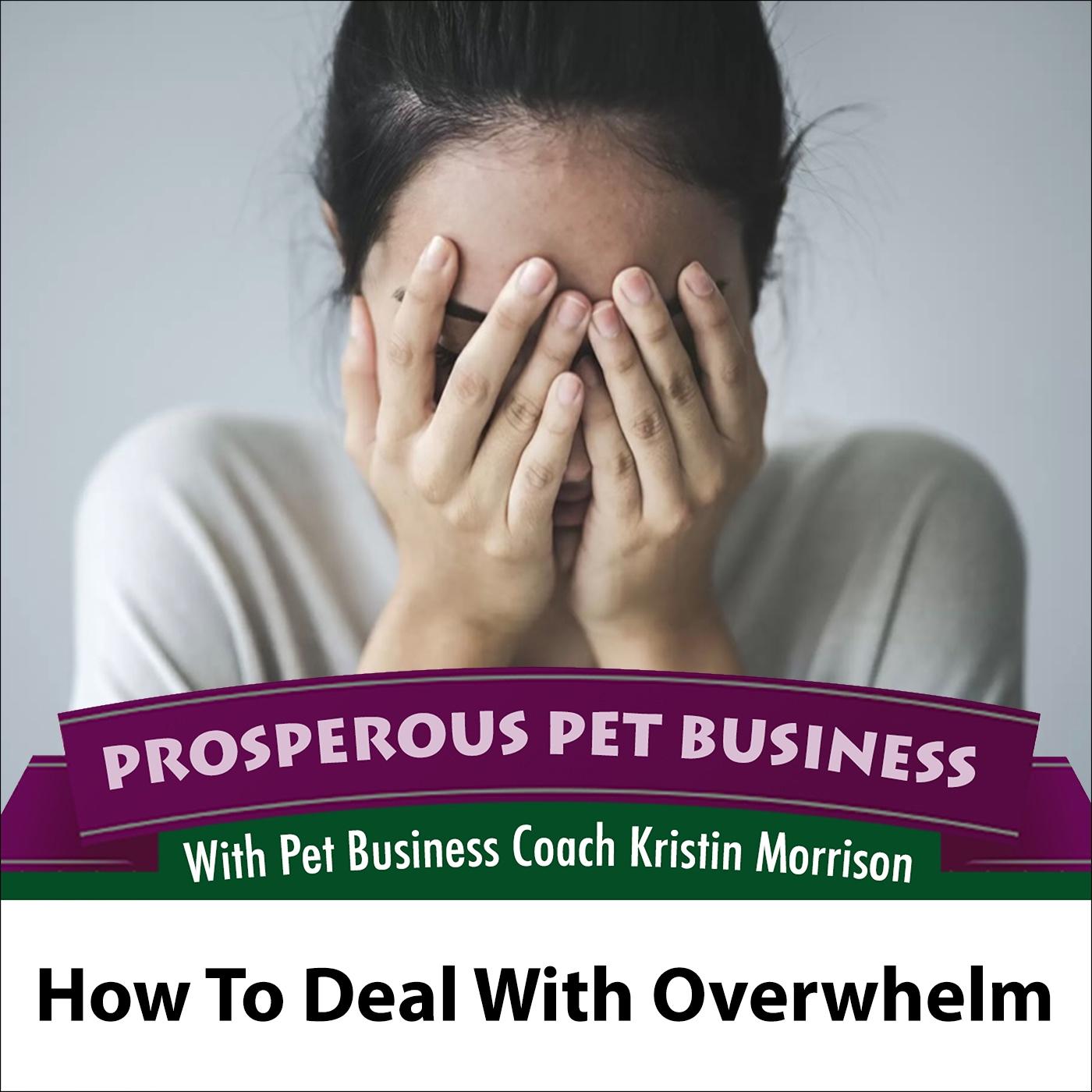 Prosperous Pet Business