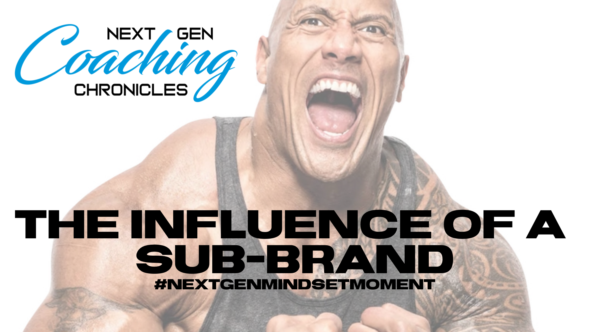 The Influence of a Sub-Brand