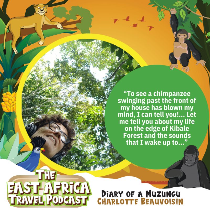 The East Africa Travel Podcast by Diary of a Muzungu