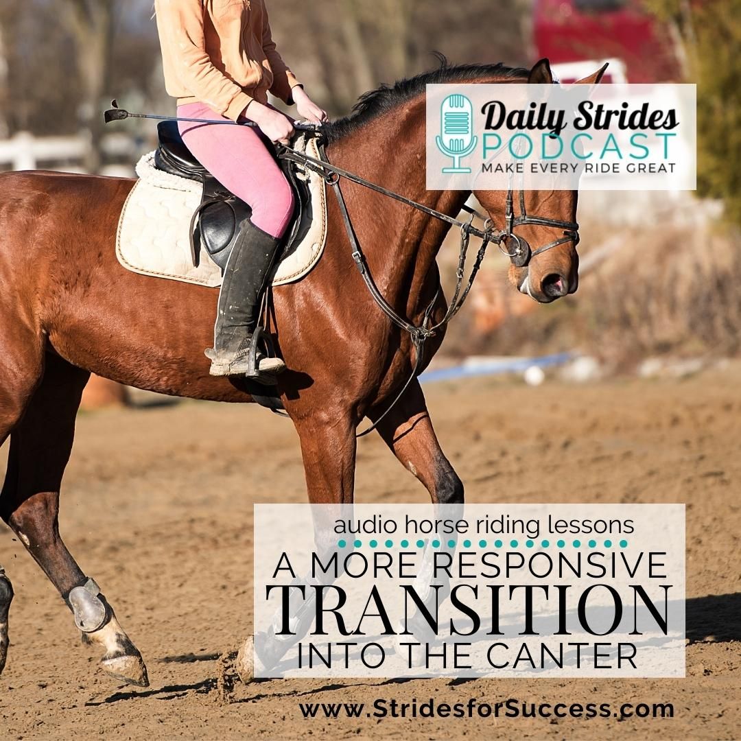 Creating a More Responsive Transition into the Canter