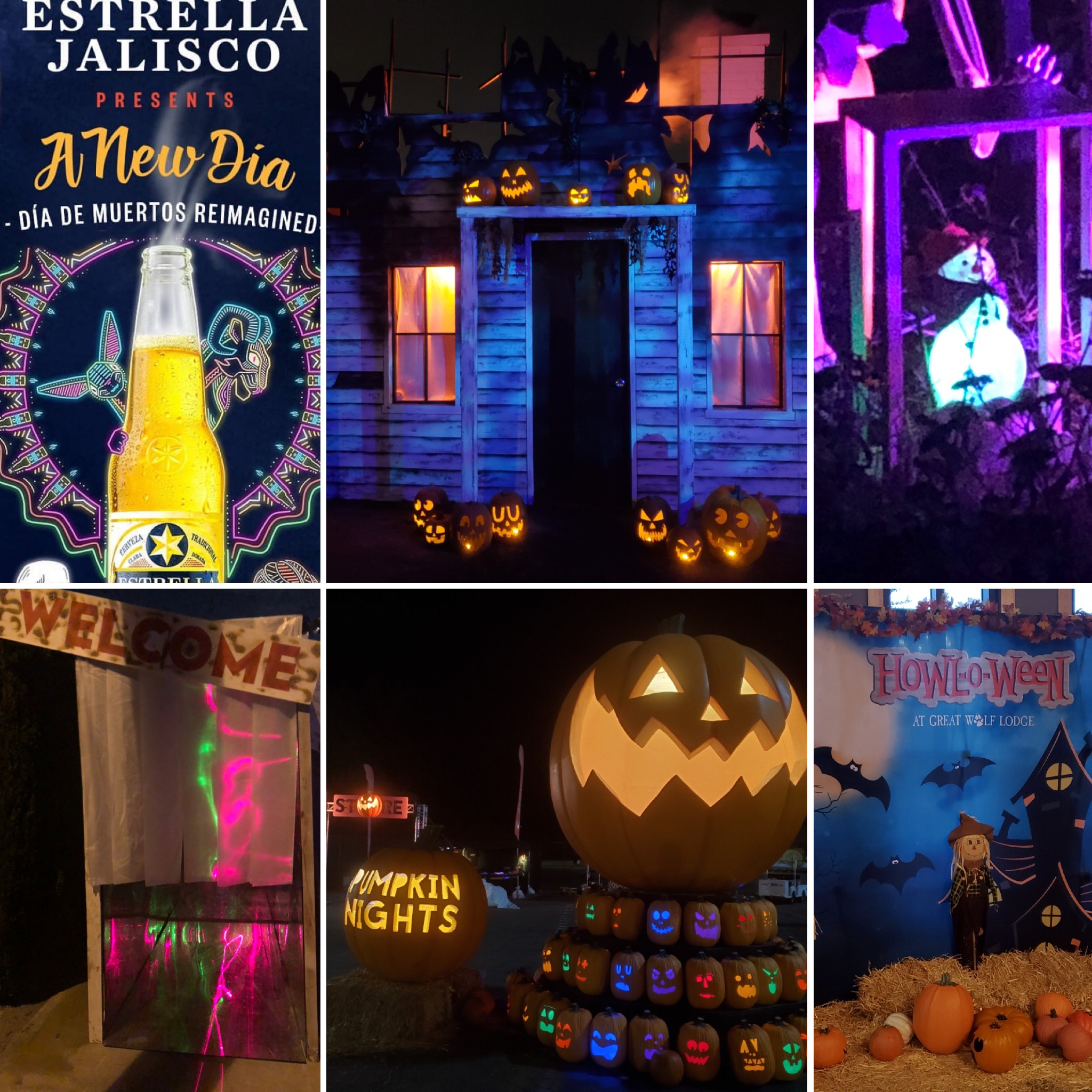 Episode 452 - Pumpkin Night Fest, Howl-O-Ween, Turkey Boy: Harvest Night, Hull House, Frosty’s Graveyard, & A New Dia 2019