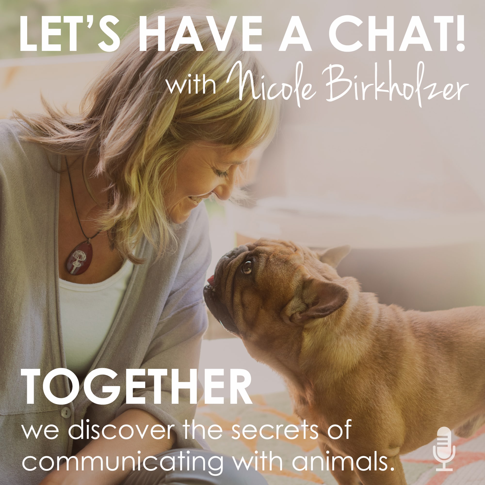 Let\'s Have A Chat!