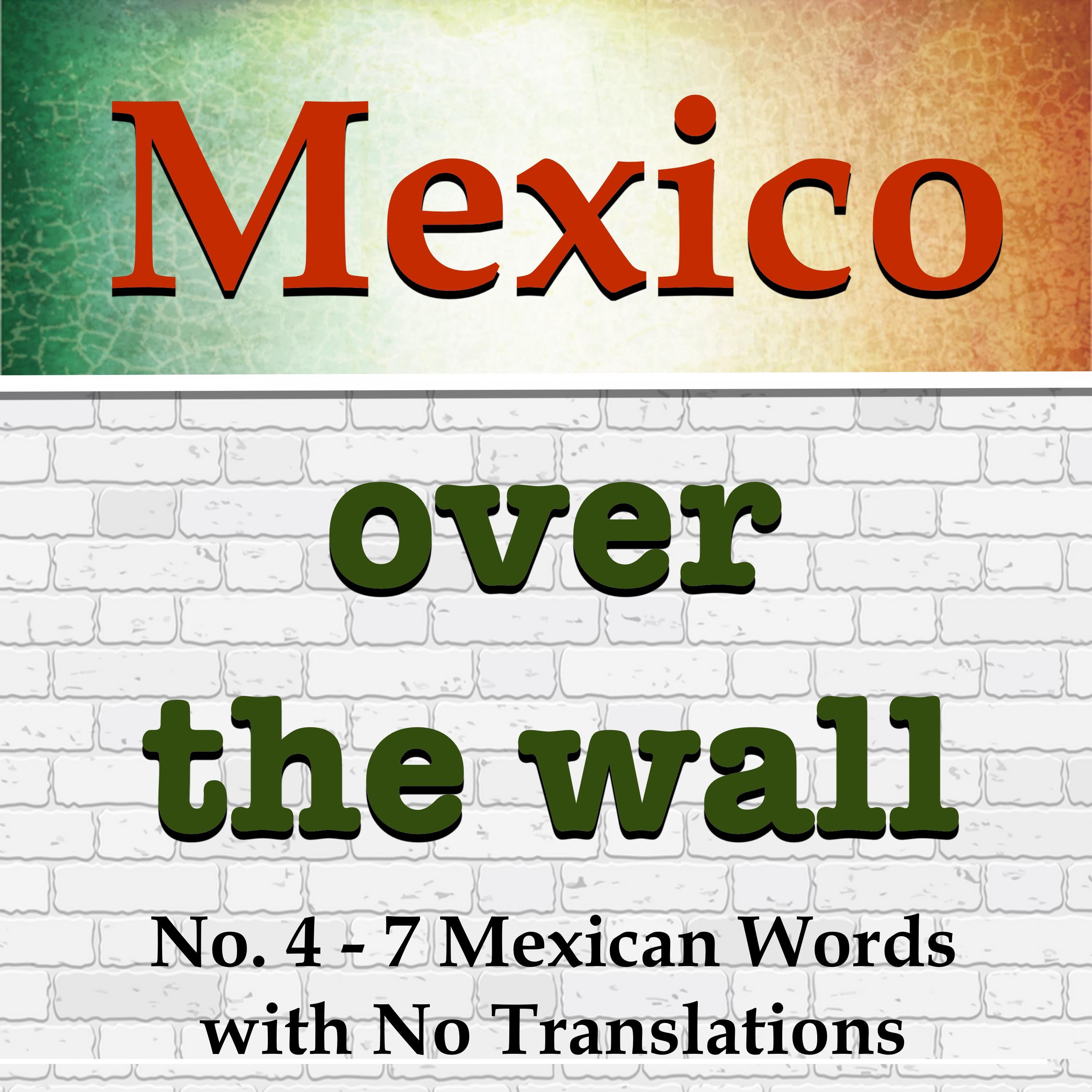 Mexico Over the Wall