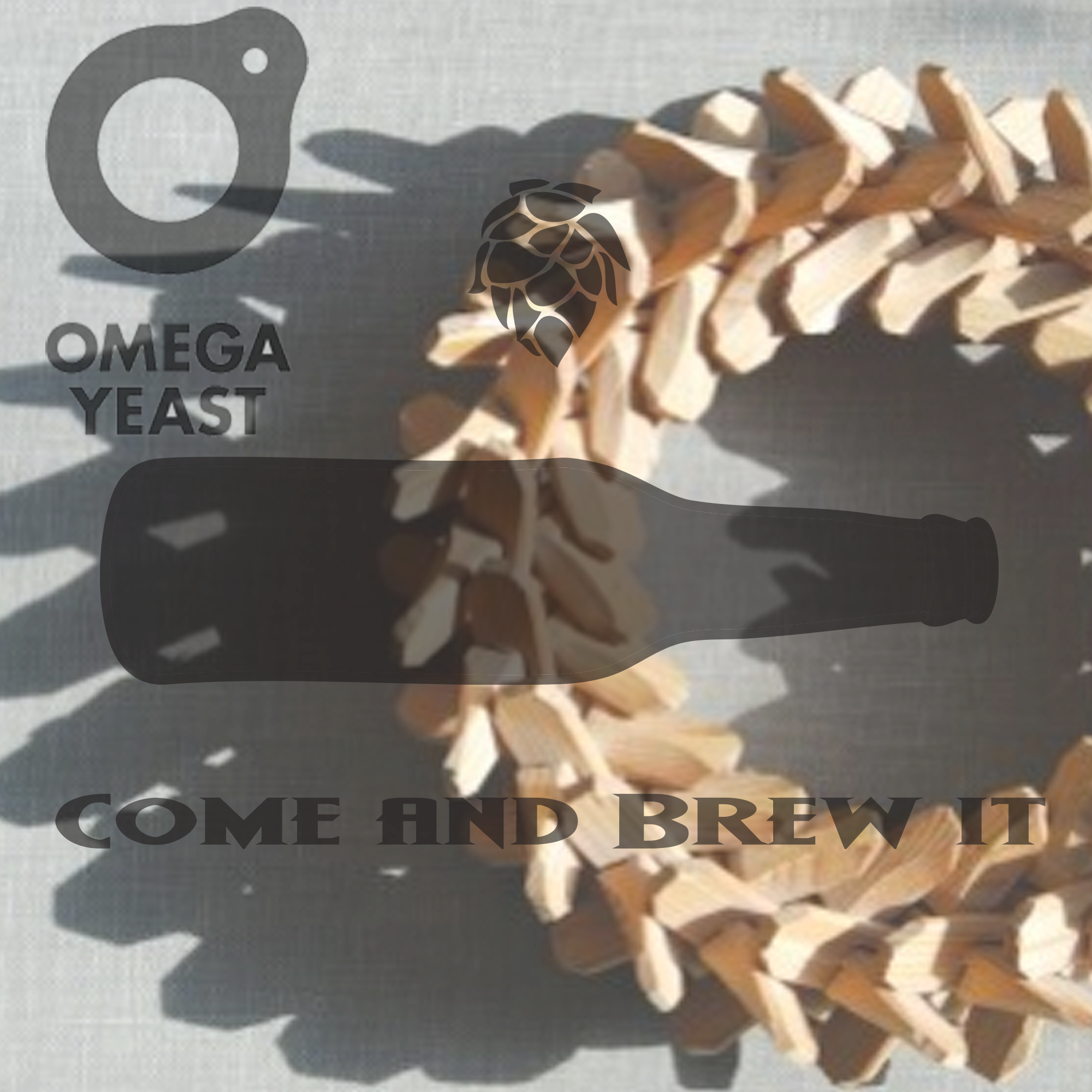 Come and Brew It Radio