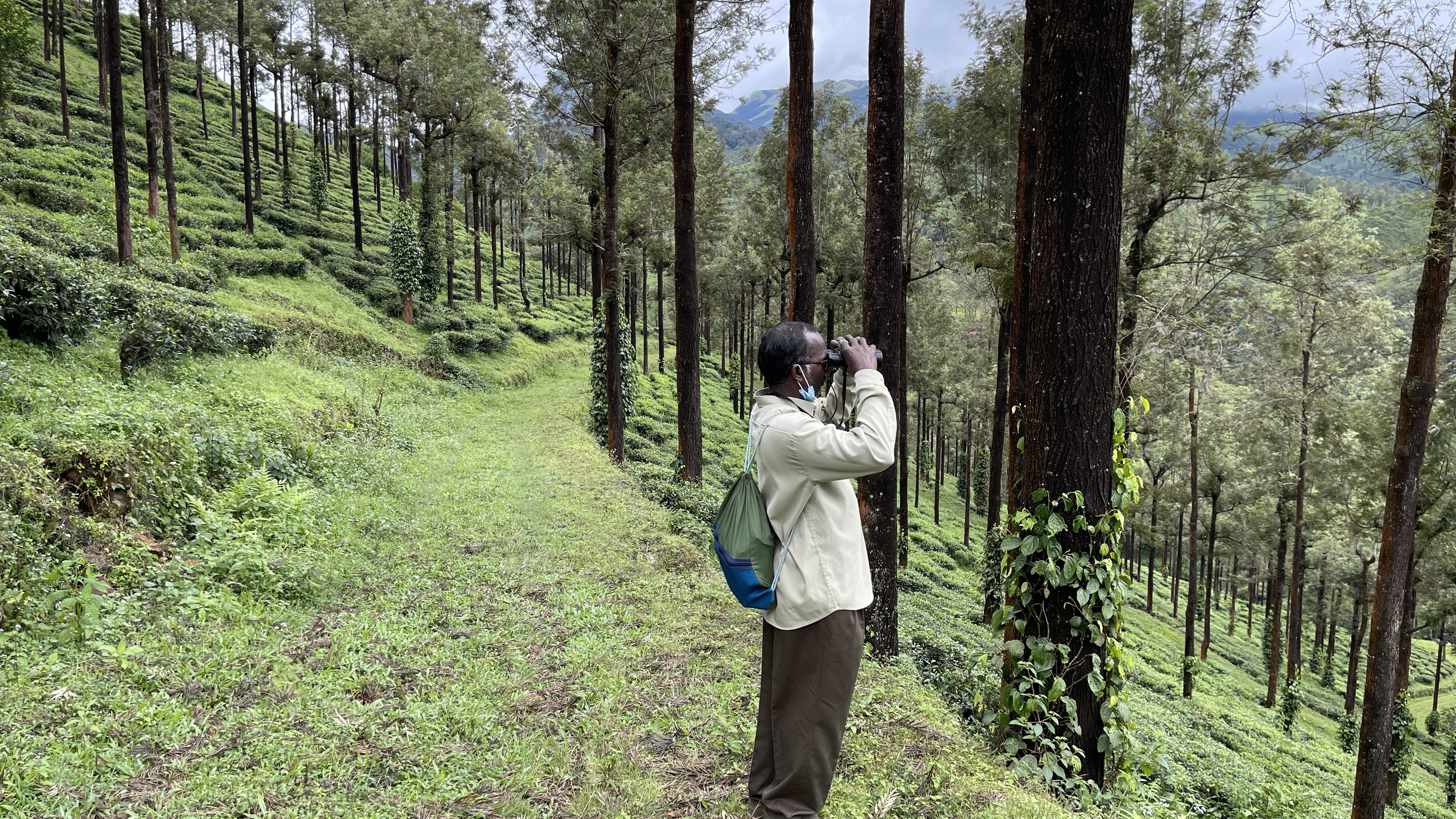Bird Podcast with Shoba Narayan