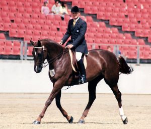 0190: Simon Kale LC - Australian Medal for Equestrian Sport Recipient