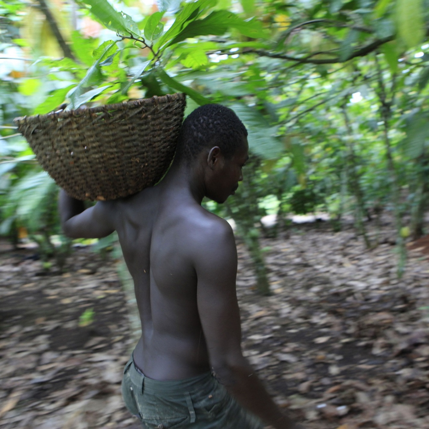 cover of episode How a non-profit is using technology to fight child labor in the cocoa industry