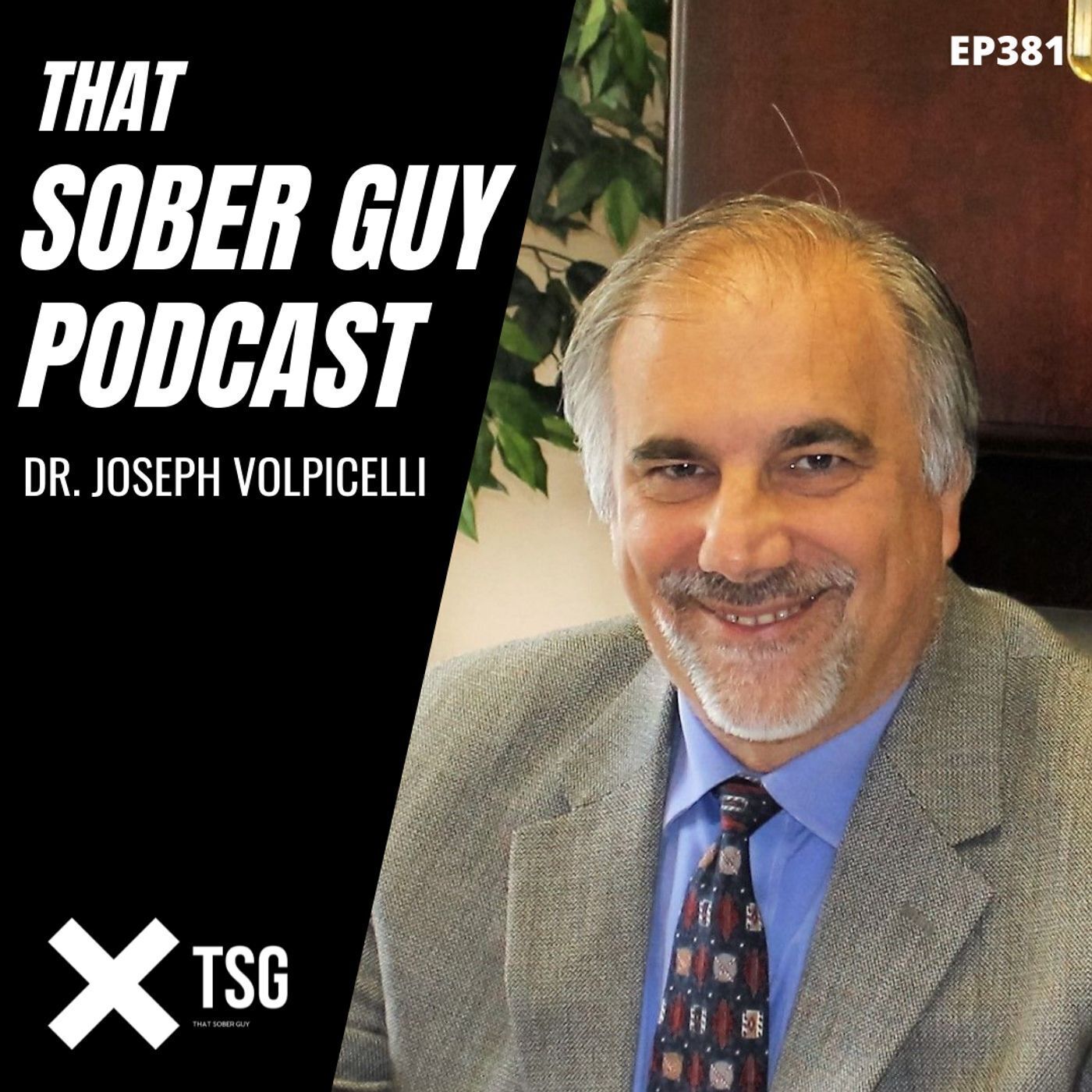 That Sober Guy Podcast