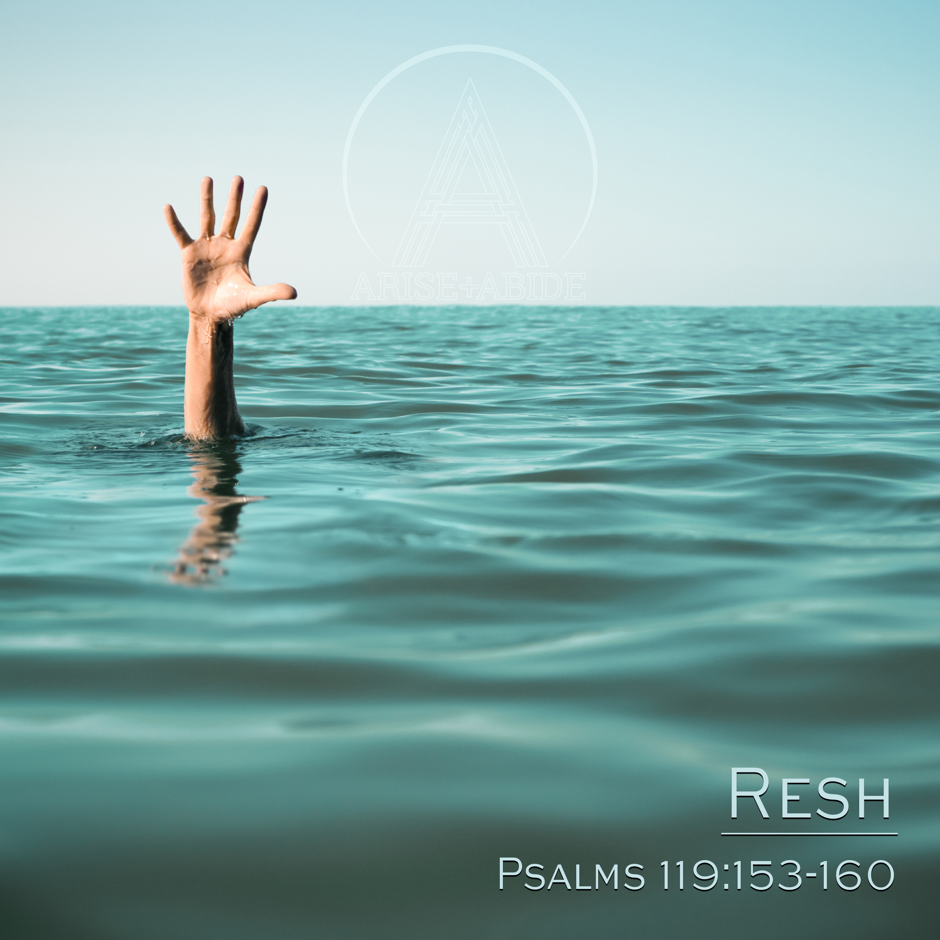Arise and Abide