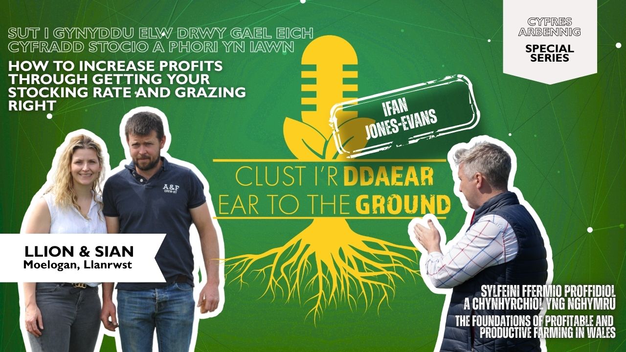 Ear to the Ground / Clust i\'r Ddaear