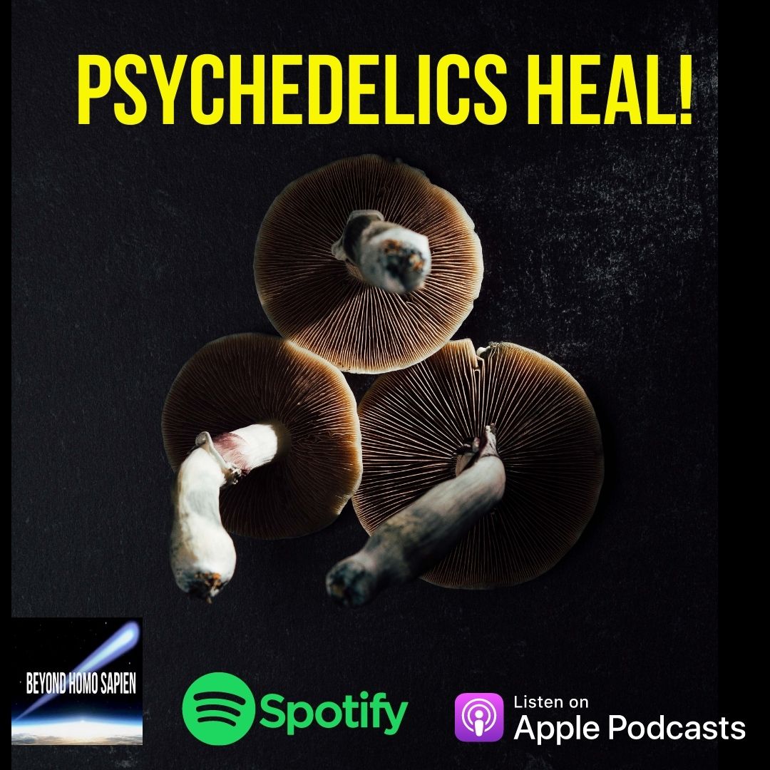 Psilocybin Cubensis & MDMA Therapy Saves Lives - Important Podcast #7