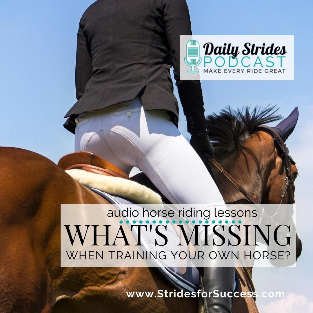 What's Missing When Training Your Horse?