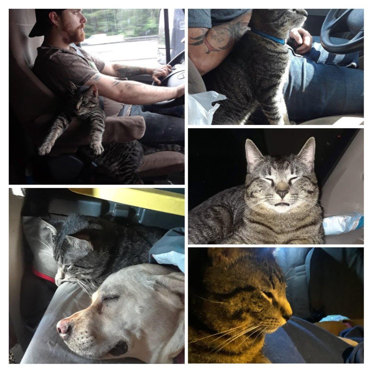 TWK Trucking with kingfish