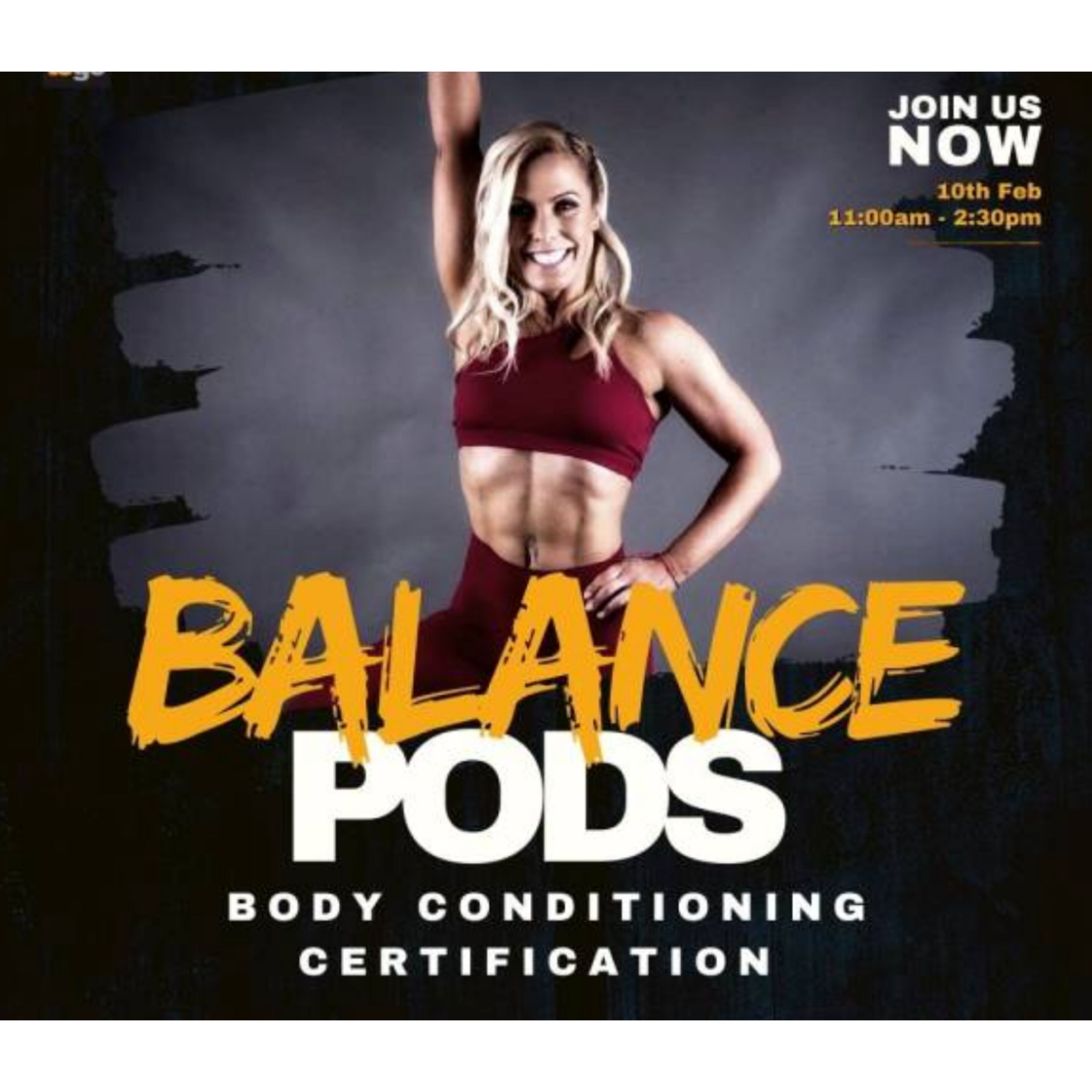 Have you booked the Body Conditioning Balance Pods Workshop