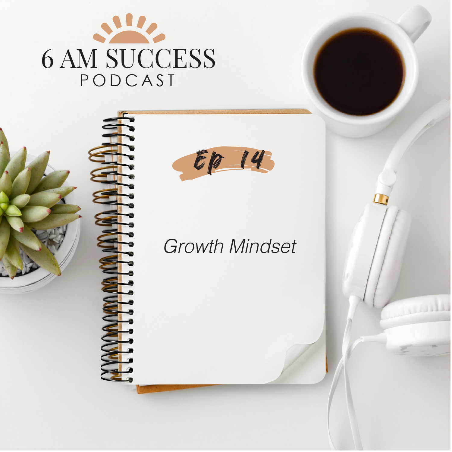 14. Growth Mindset