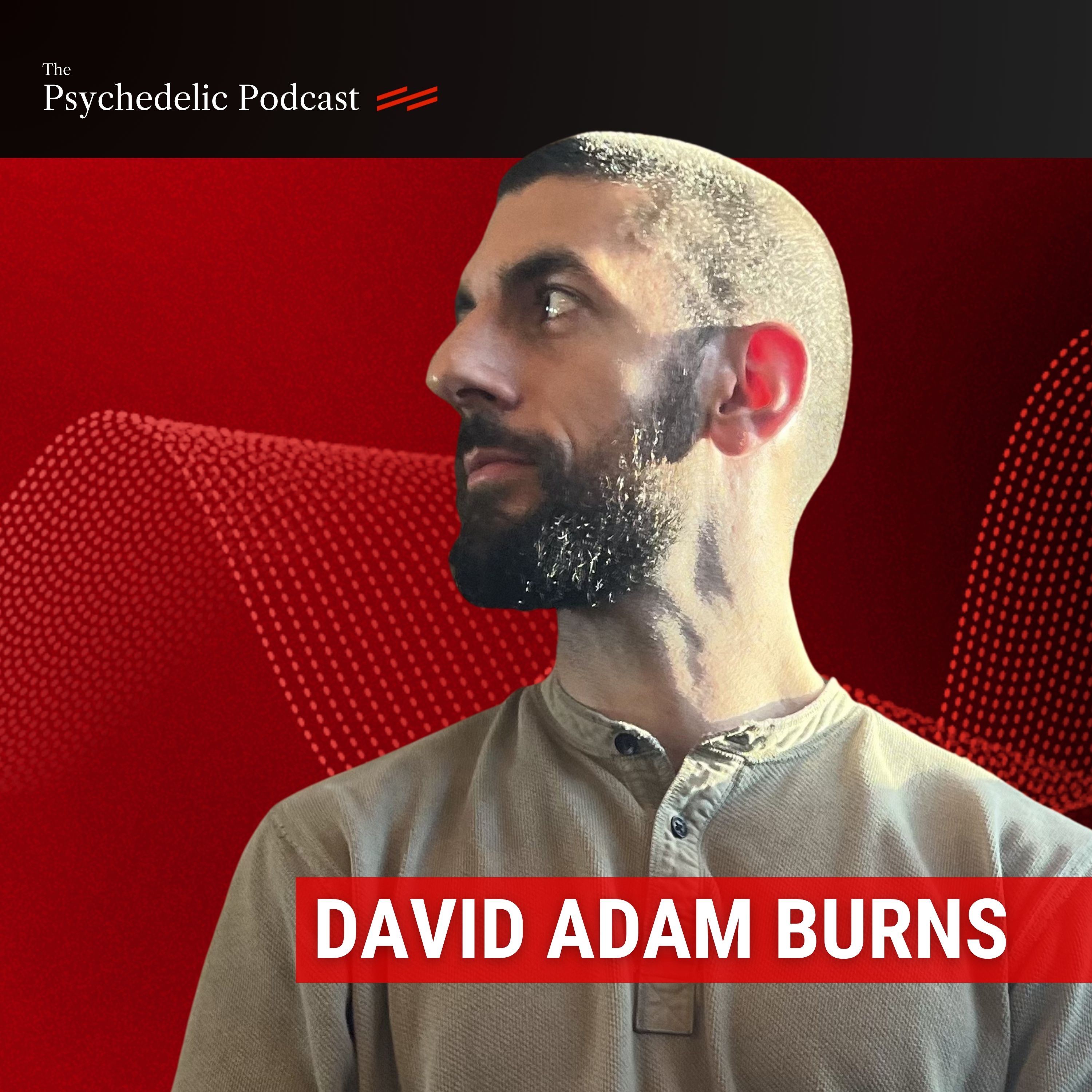 Psychedelics and Myth: Why Story Shapes Transformation - David Adam Burns
