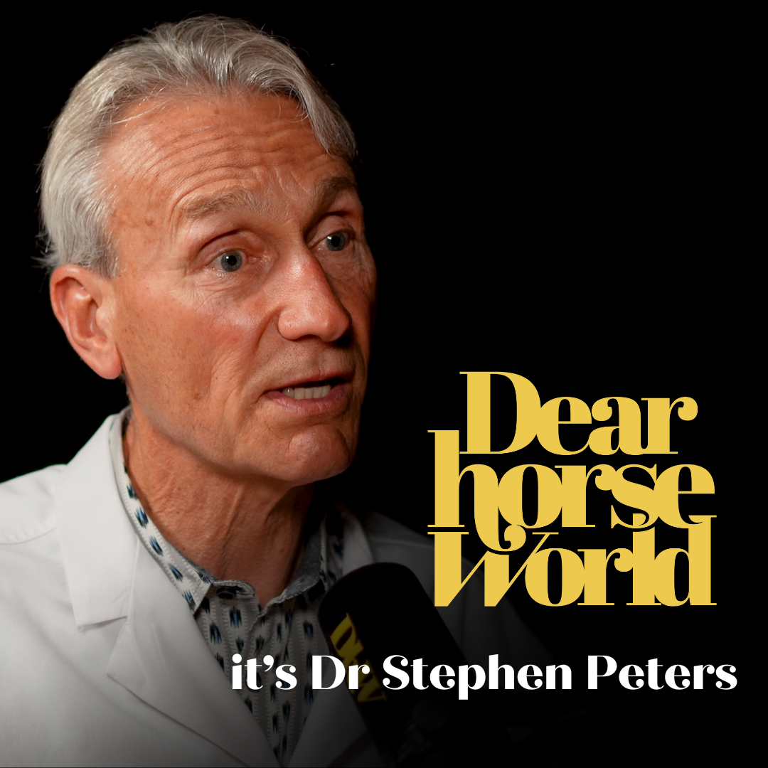 Dear Horse World