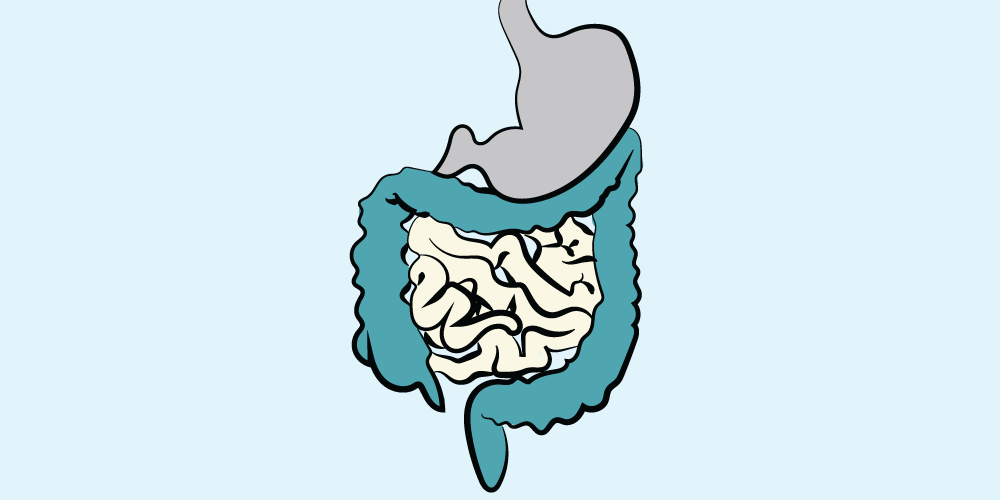 Surgery 101
