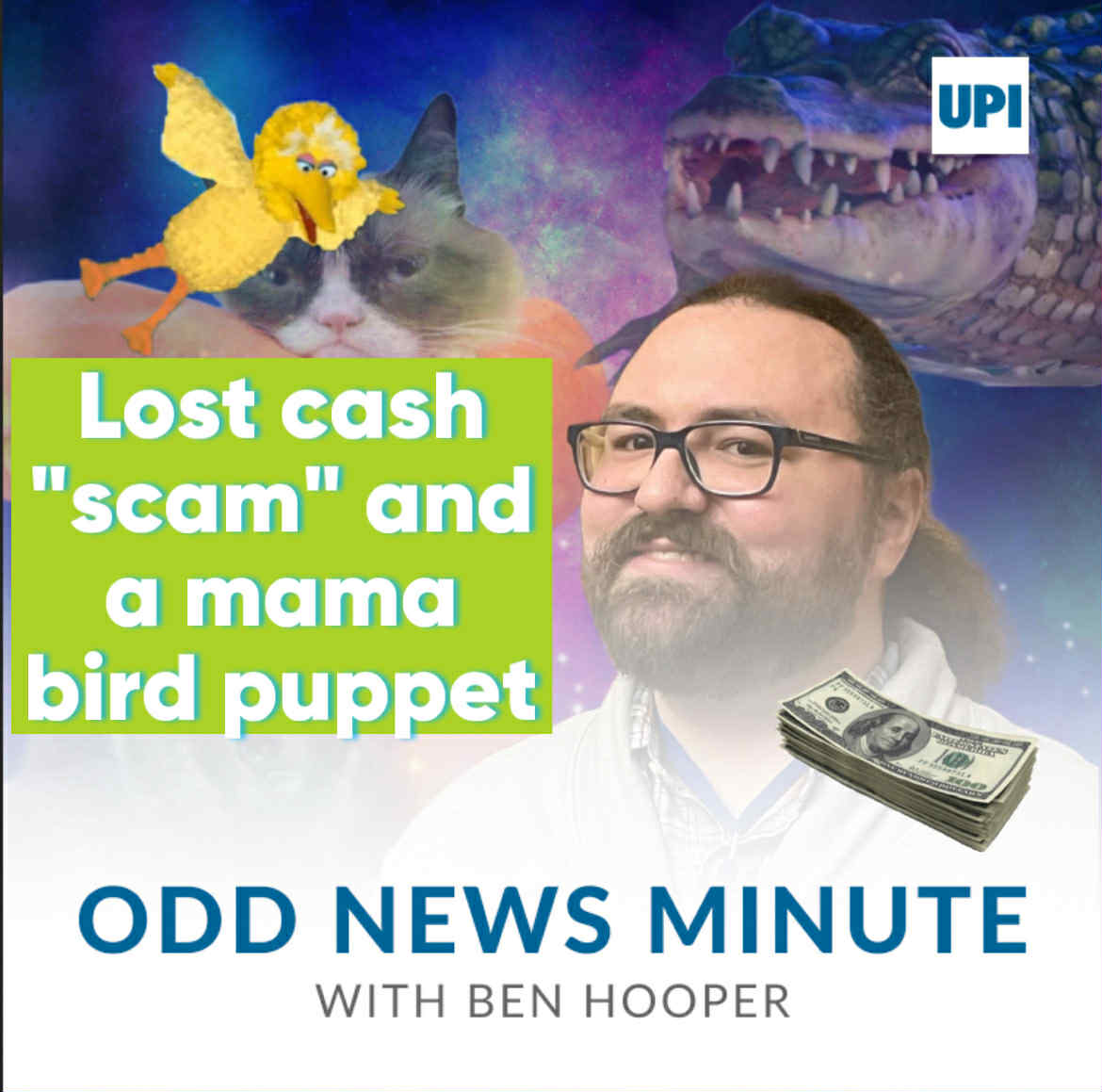 Lost cash was not a scam, baby bird fed by puppet
