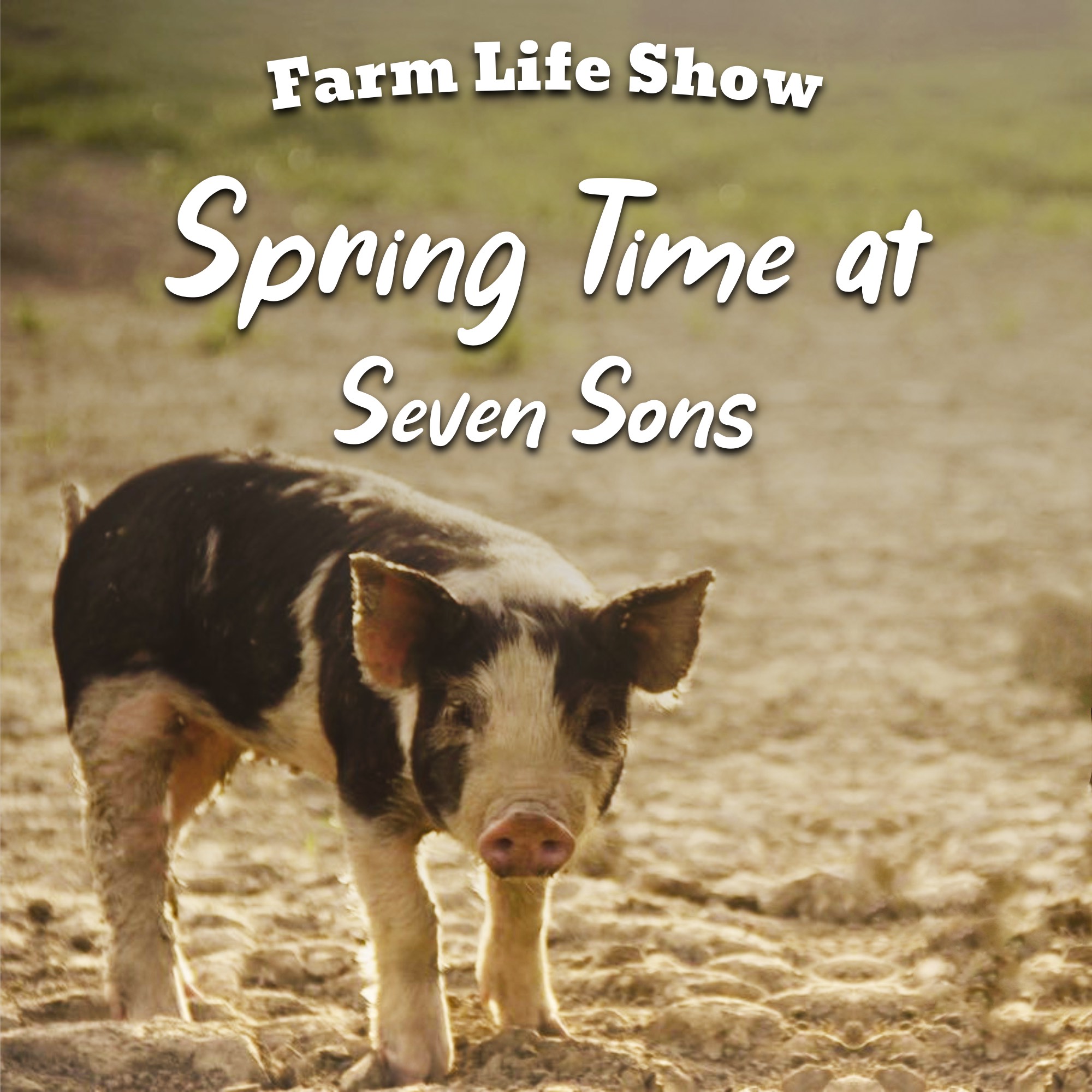 Can We Feed the World with Regenerative Farming?