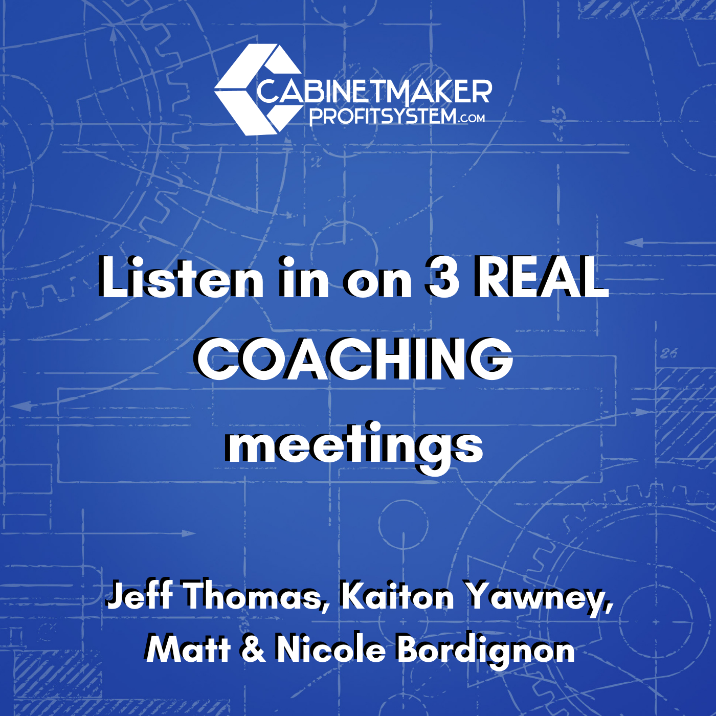 Cabinet Maker Profit System Podcast