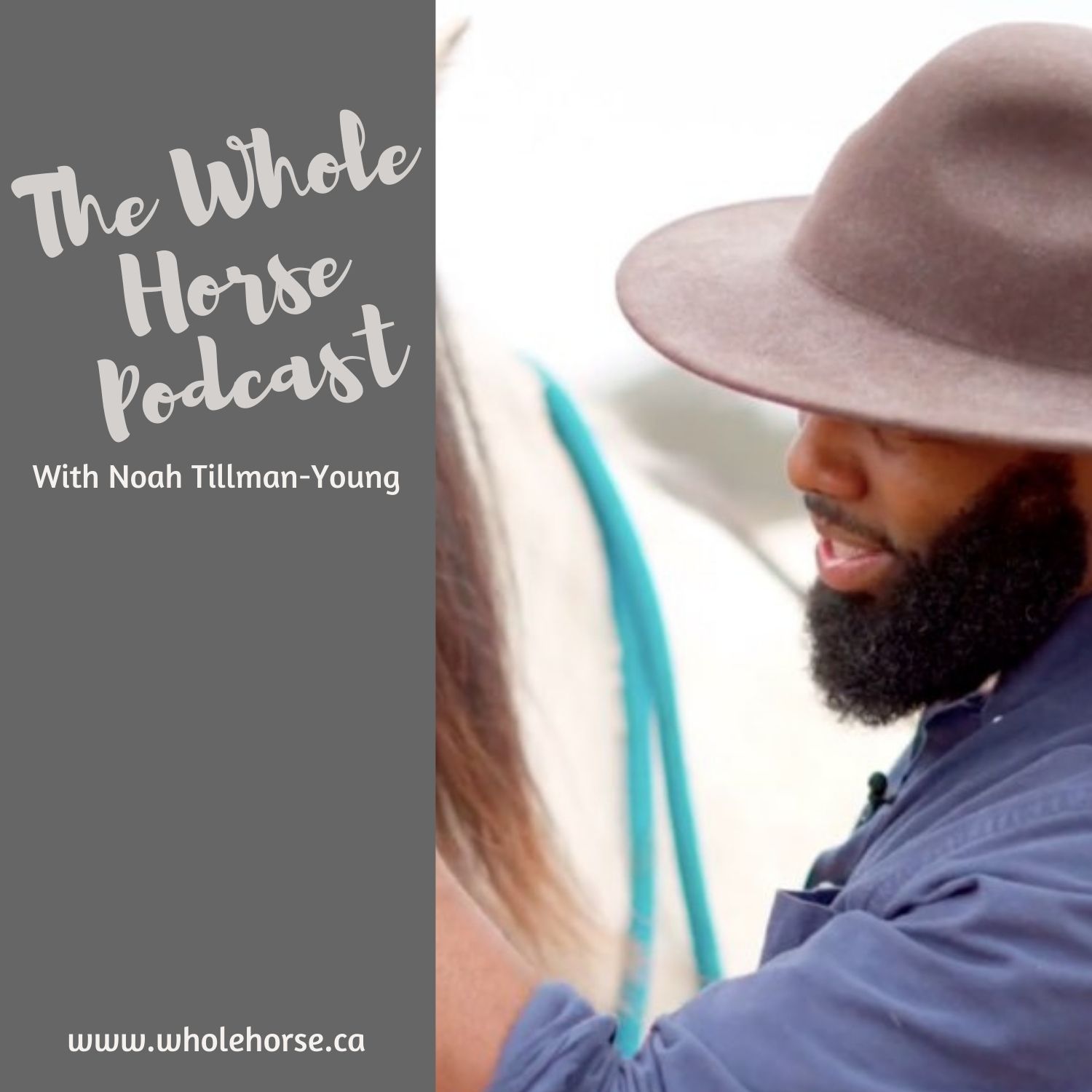 The Whole Horse Podcast with Alexa Linton