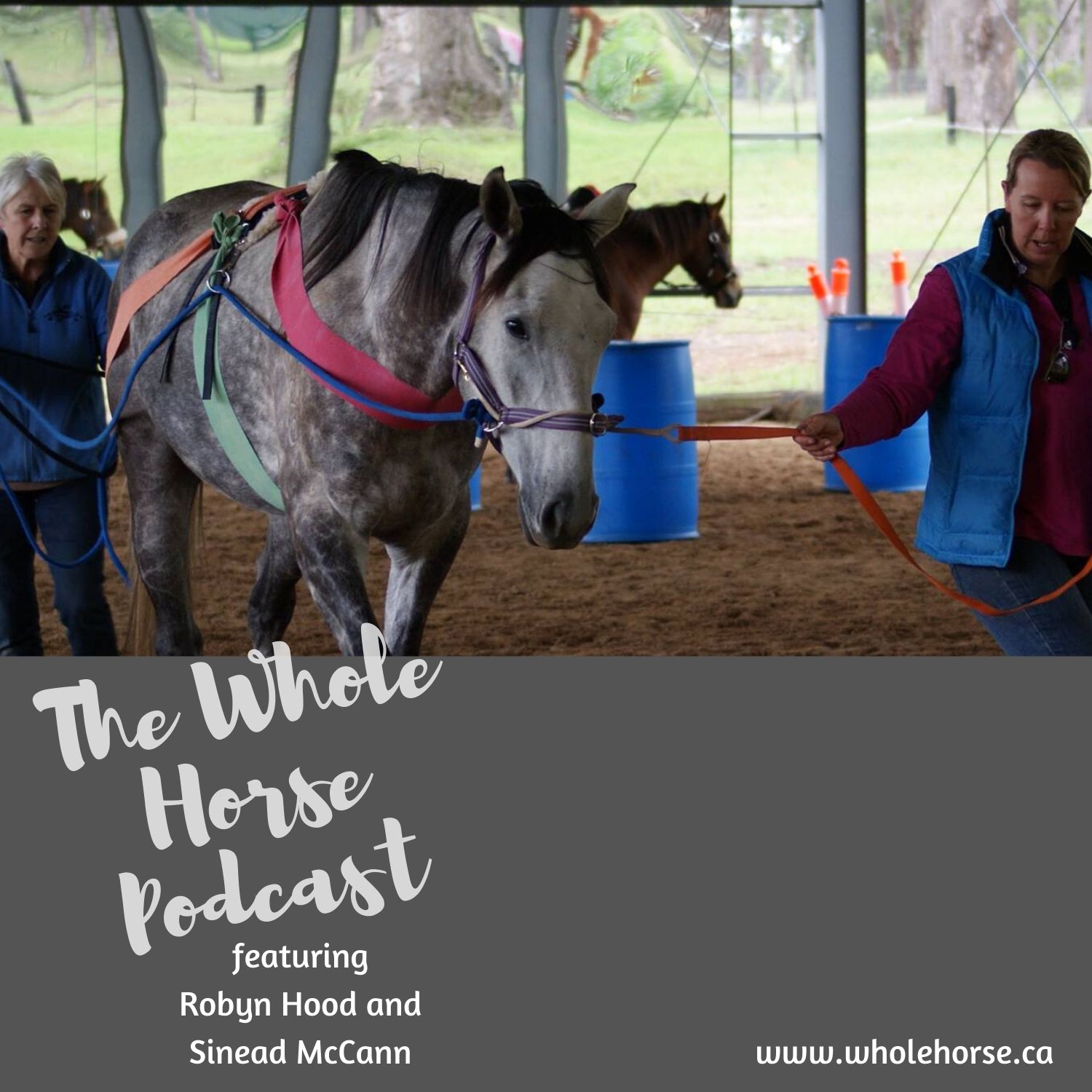 The Whole Horse Podcast with Alexa Linton
