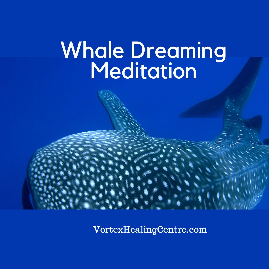 Whale Dreaming Meditation