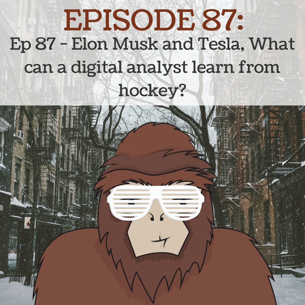 Ep 87 - Elon musk and tesla, What can a digital analyst learn from hockey?