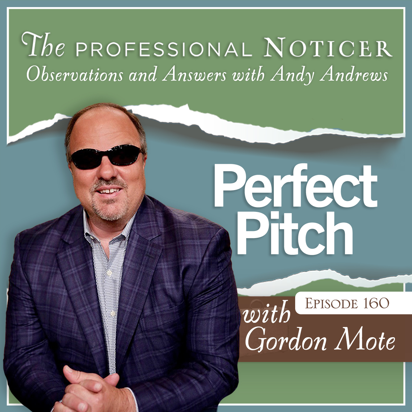 The Professional Noticer