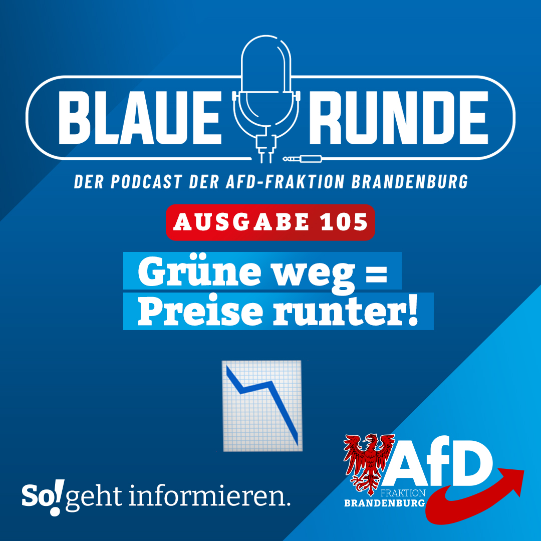 Die Blaue Runde - der Podcast der AfD-Fraktion Brandenburg