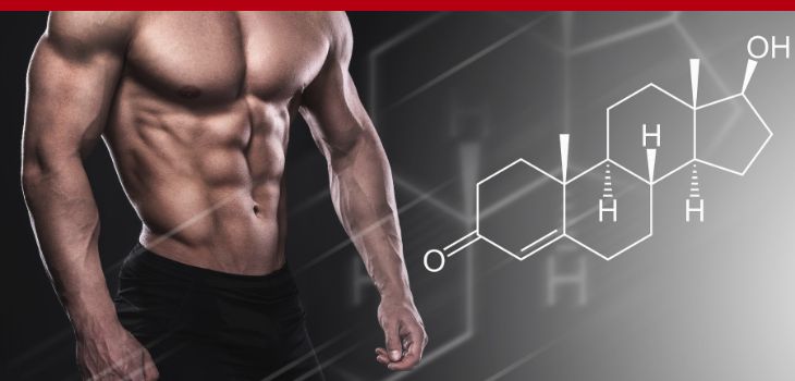 Legendary Life | Transform Your Body, Upgrade Your Health & Live Your Best Life