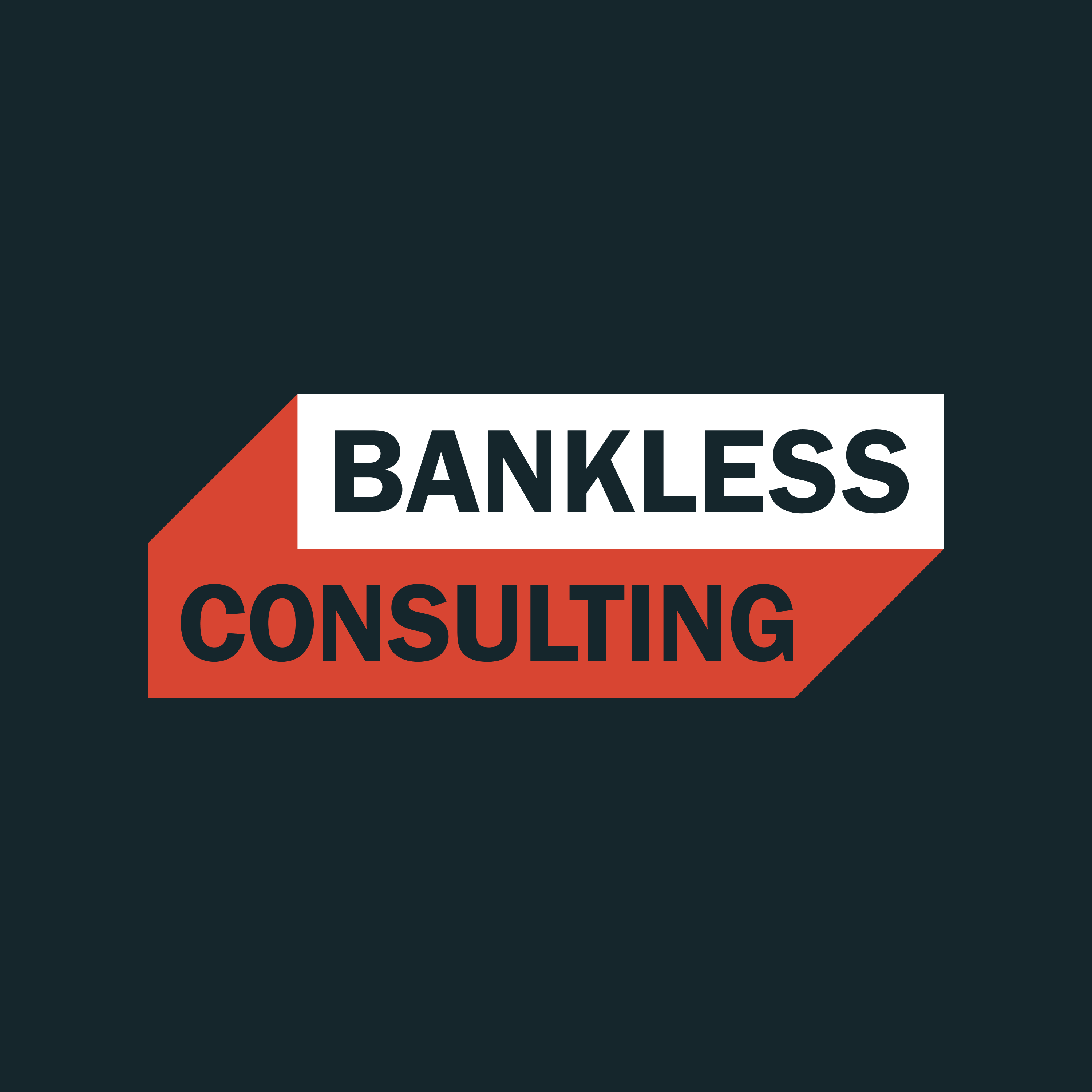 EARLY - The Business of web3 from Bankless Consulting