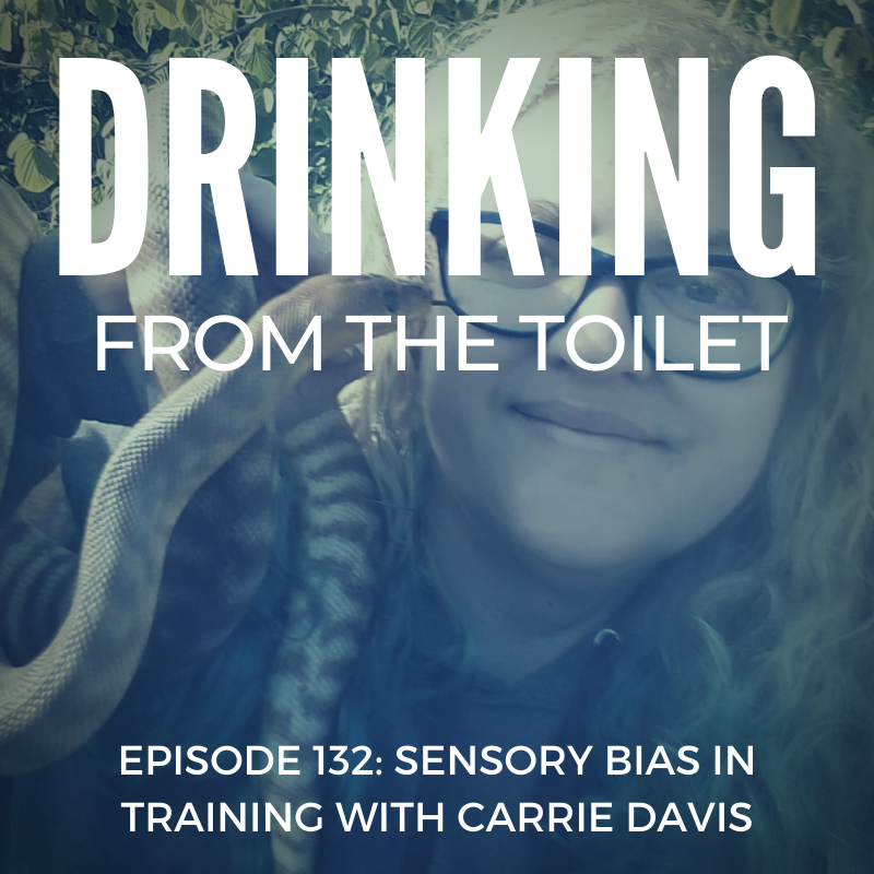 Drinking From the Toilet: Real dogs, Real training