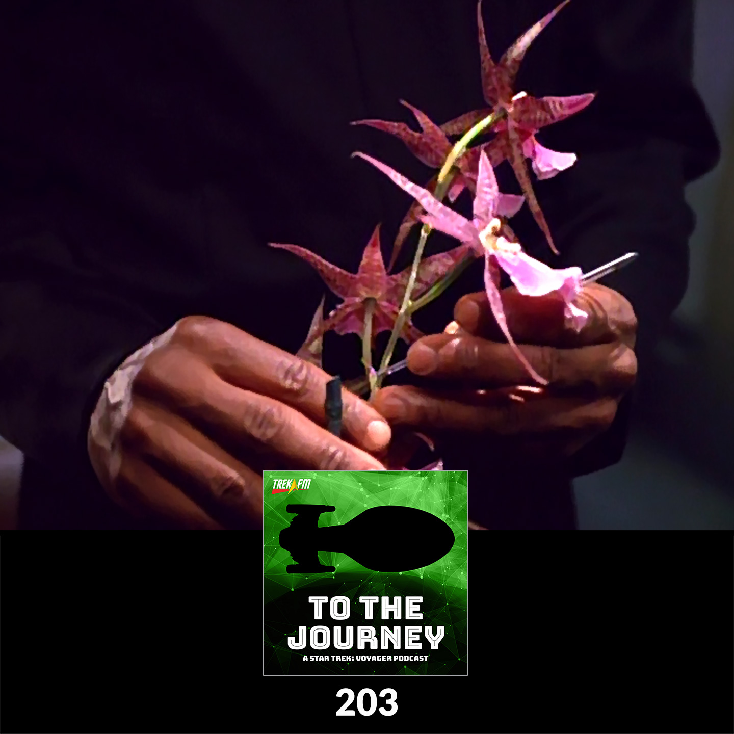 To The Journey: A Star Trek Voyager Podcast