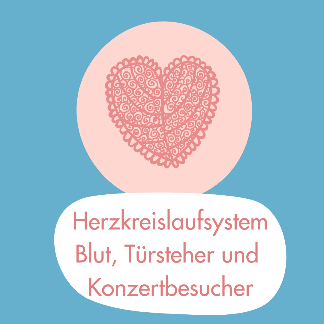 Wunderwelt Körper