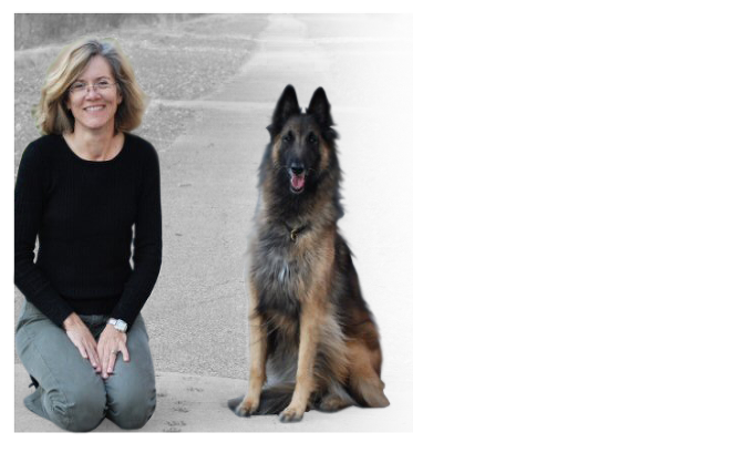 Vermont Dog Trainer Show