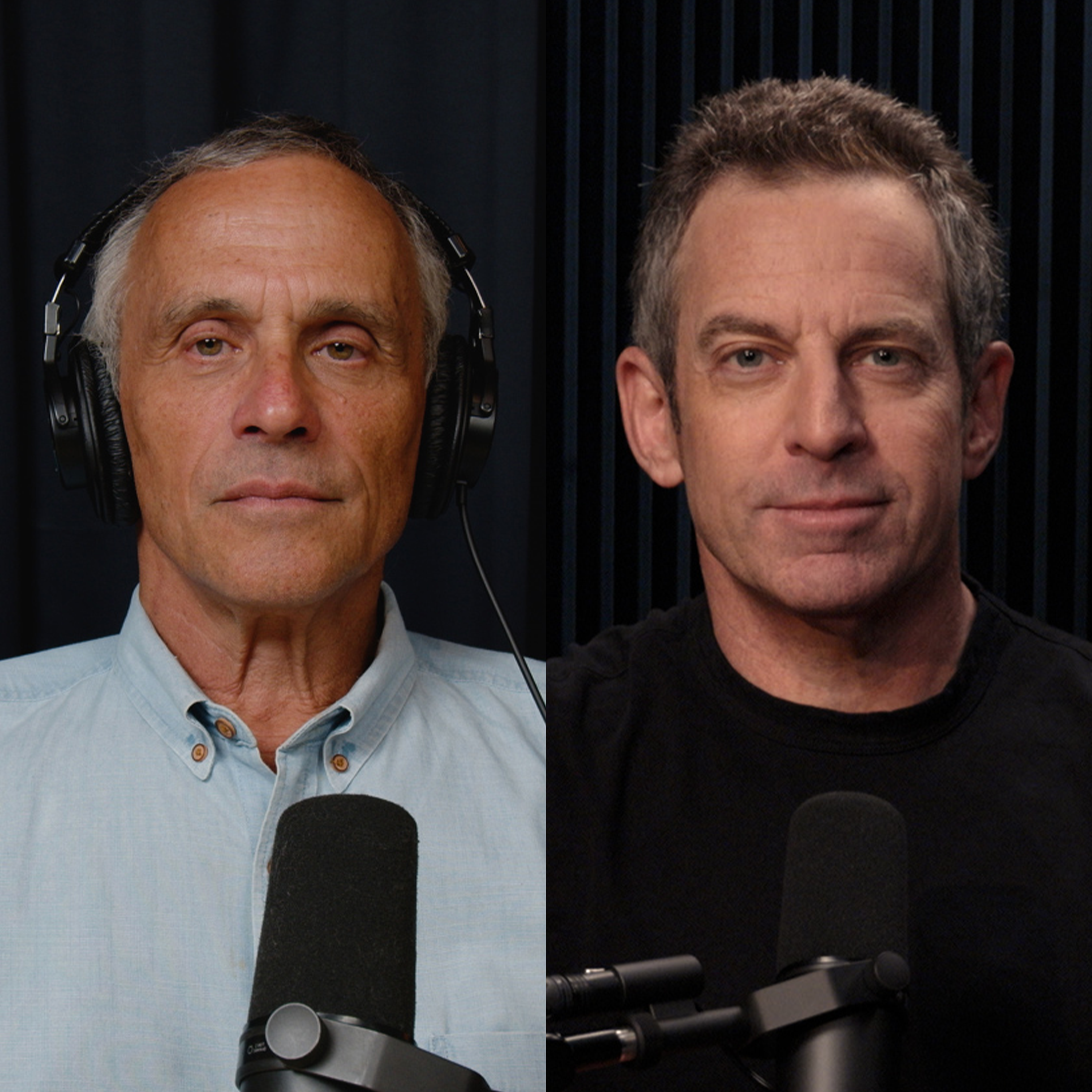 Making Sense with Sam Harris
