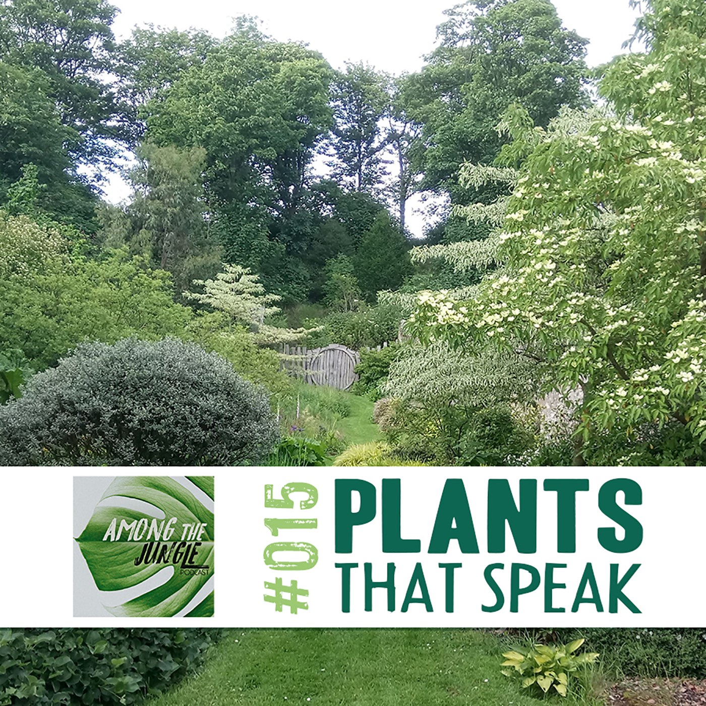 Learning to Communicate with Plants with Fay Johnstone