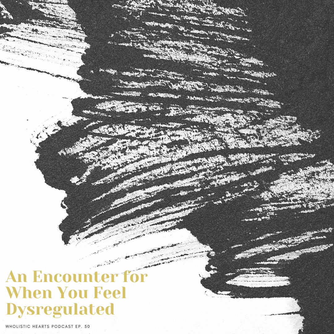 50. An Encounter When You Feel Dysregulated