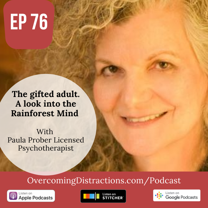 The gifted adult- A look into the rainforest mind