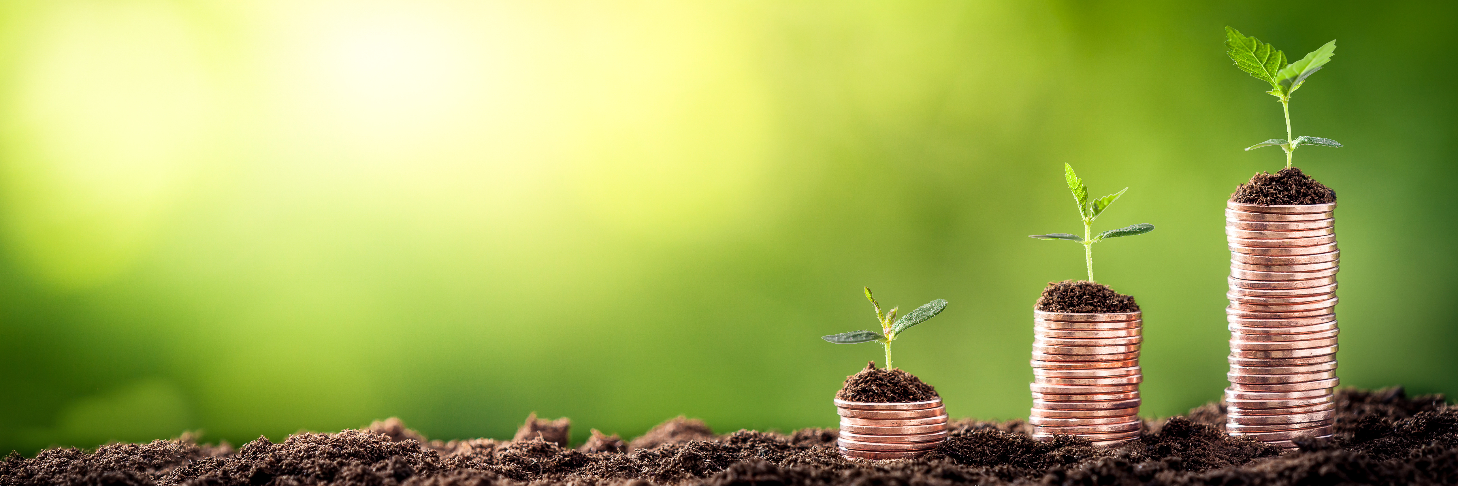 Improving Your Return on Investment From Innovation