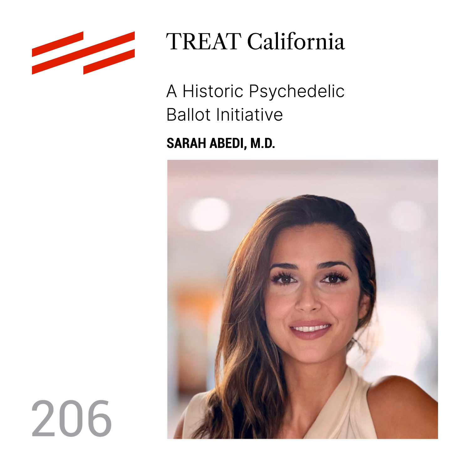 The Psychedelic Podcast