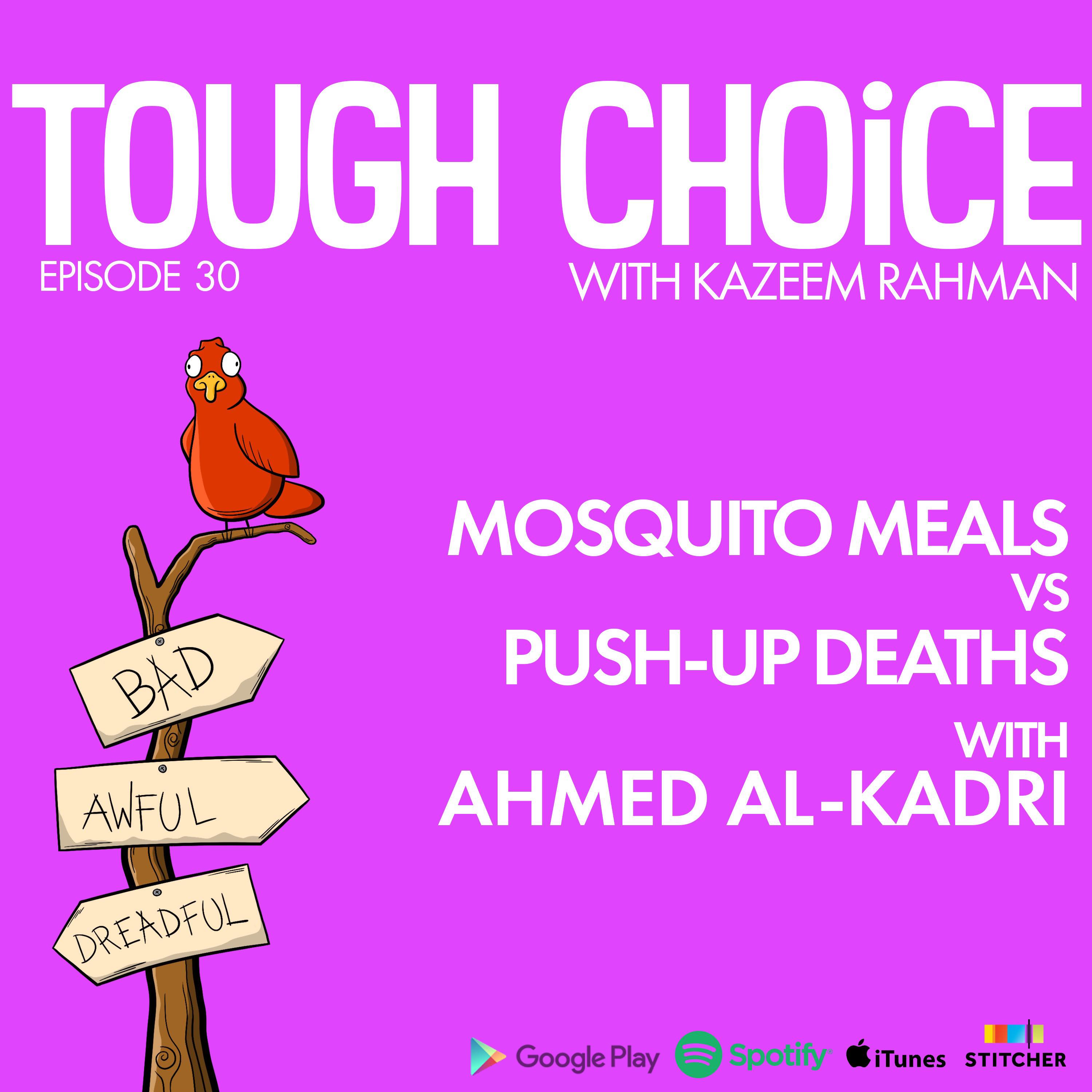 Mosquito Meals vs Push-up Deaths - Ahmed Al-Kadri