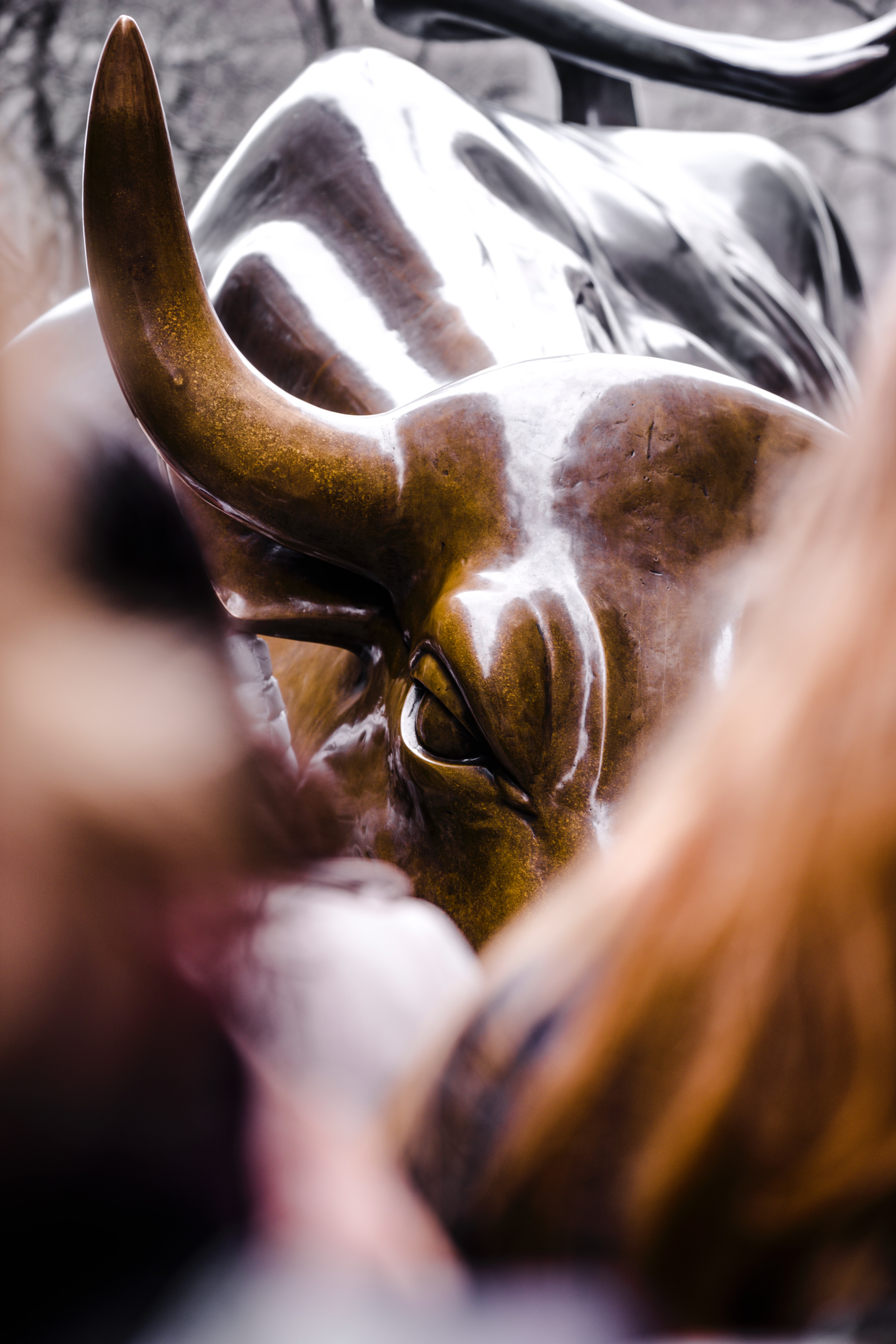 Bear Market Recession or Raging Bull?
