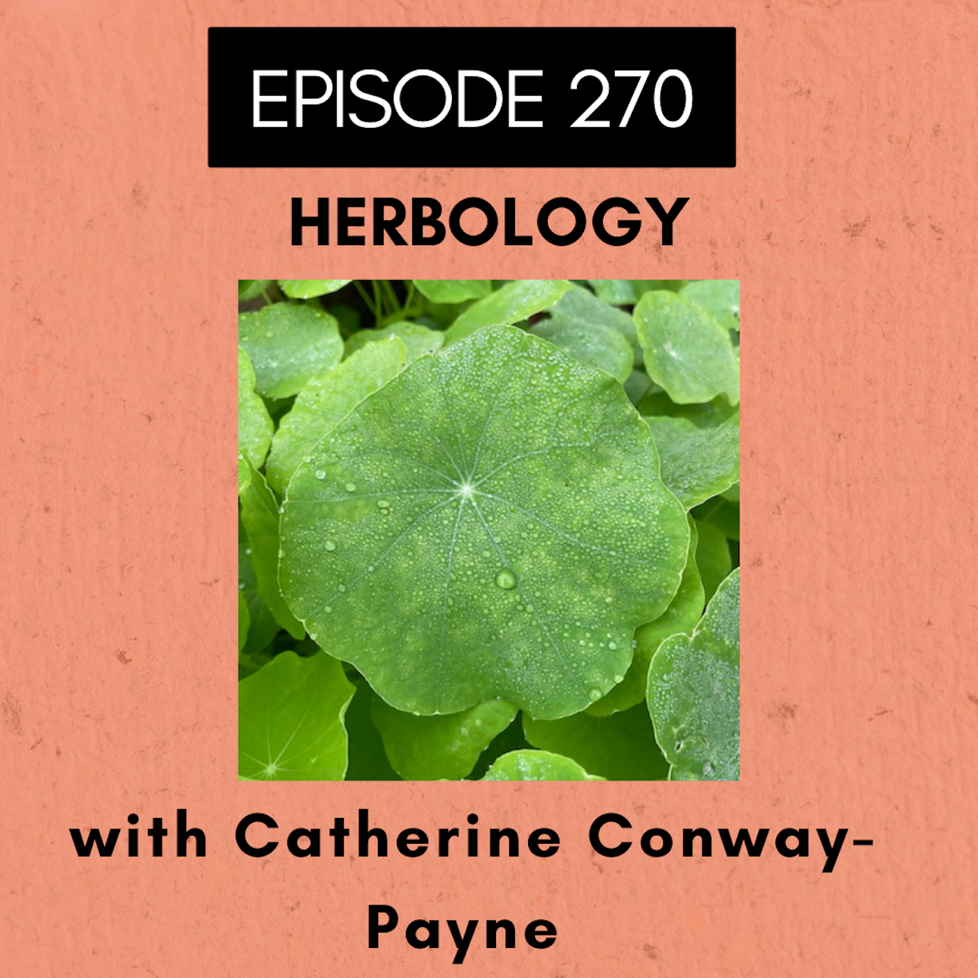 Roots and All - Gardening Podcast