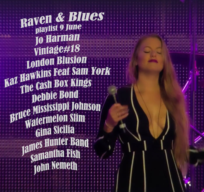 Raven and Blues 9 June 2017 episode artwork