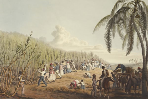 679. The Real Difference Between A Master, Slavery and Contribution To Potential